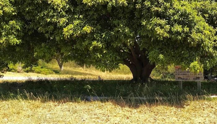 Parque Guernica -  Comentario 8 - Mercedes