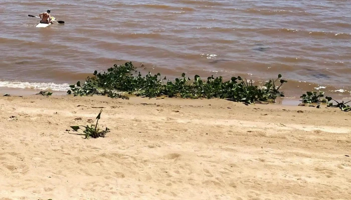 Parque Guernica -  Comentario 9 - Mercedes