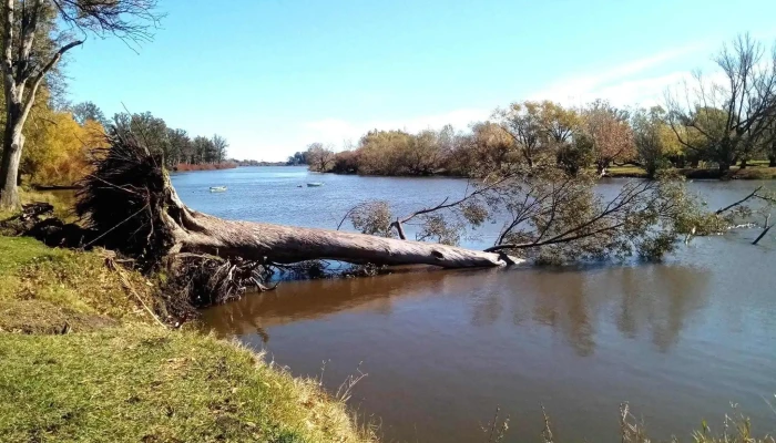 Parque Guernica -  Todo - Mercedes