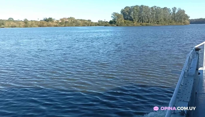 Parque Guernica -  Videos - Mercedes