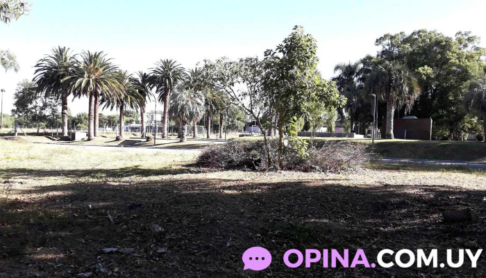 Parque la Estiva - Rocha