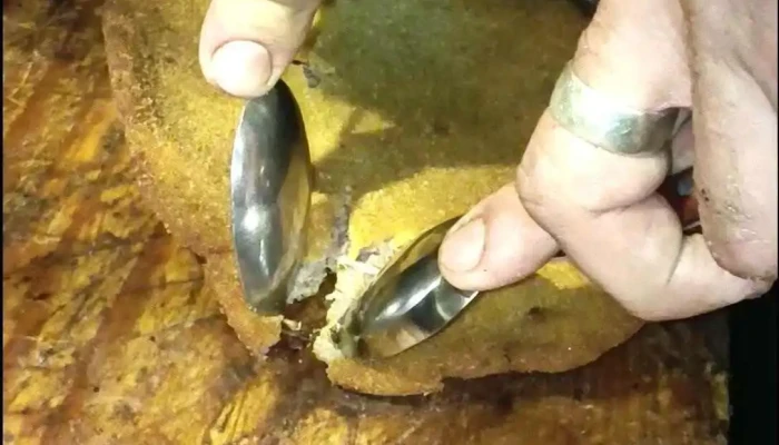 Parrillada El Rebenque -  Comidas Y Bebidas - Montevideo