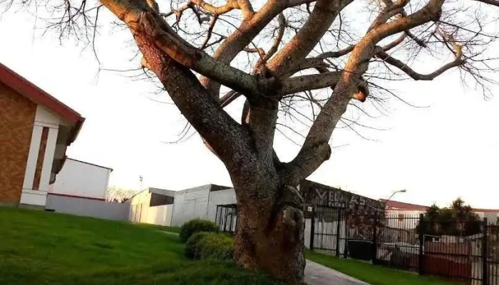 Paso Carrasco - Ciudad De La Costa