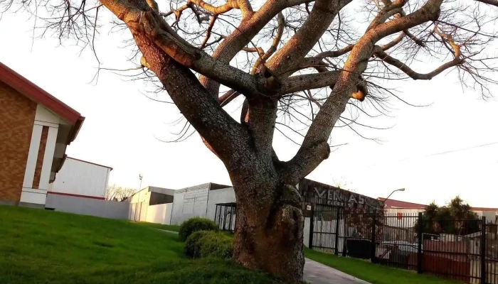 Paso Carrasco -  Todas - Ciudad de la Costa