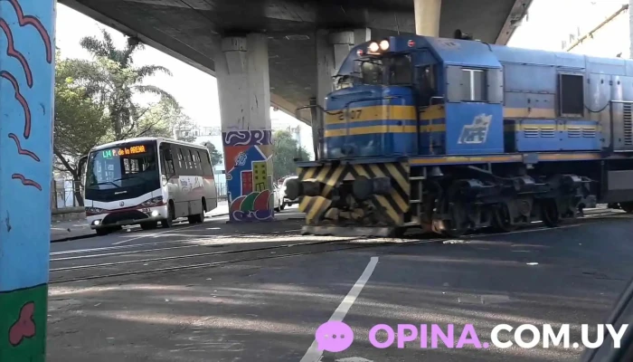 Paso Molino -  Videos - Montevideo