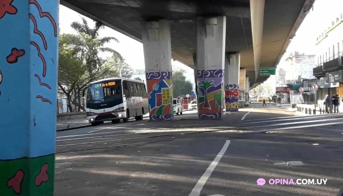 Paso Molino -  Videos - Montevideo