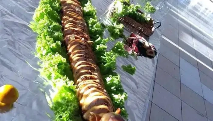 Pastas Majay -  Todas - Artigas