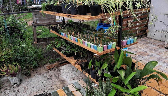 Patios y Jardines - Departamento De Canelones