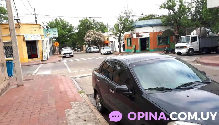 Pato Loco -  Promocion - Paysandú