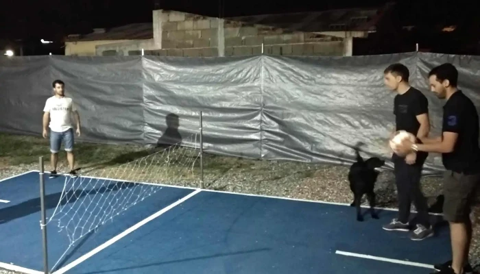 Paubru -  Comentario 2 - Tala