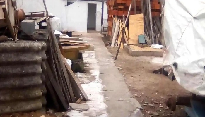 Paul Harrys -  Todo - José Pedro Varela