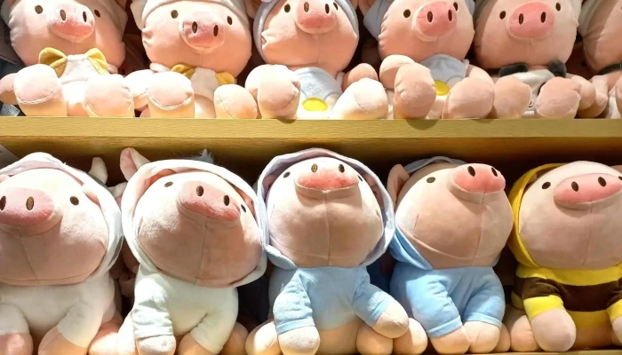 Paysandu Shopping Terminal Cerca De Mi - Paysandú