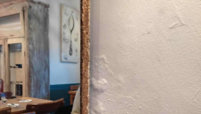 Pecana -  Comentario 5 - Montevideo