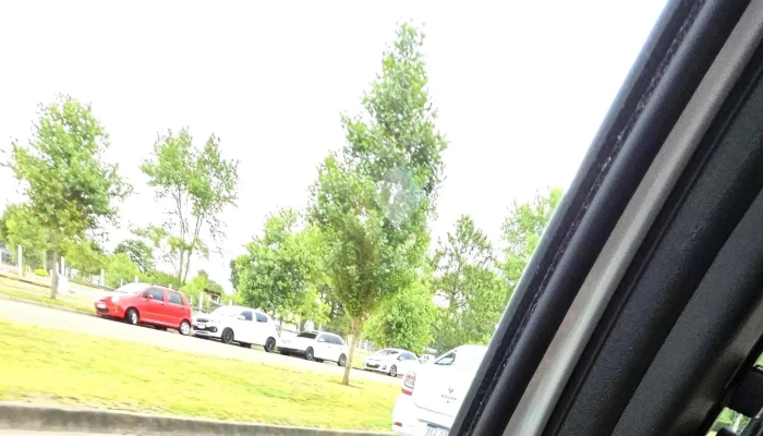 Pecas Cafe Maldonado Comentario 3 - Maldonado