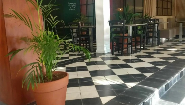 Pecas Cafe Maldonado Comentario 5 - Maldonado