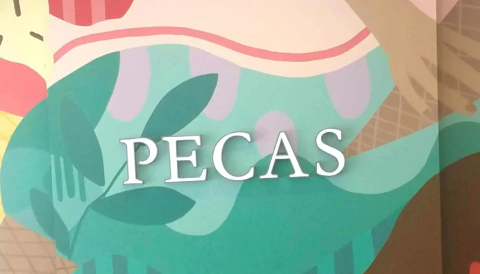 Pecas Cafe Maldonado Comentario 7 - Maldonado