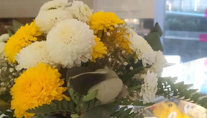 Pecas Pocitos -  Comentario 3 - Montevideo