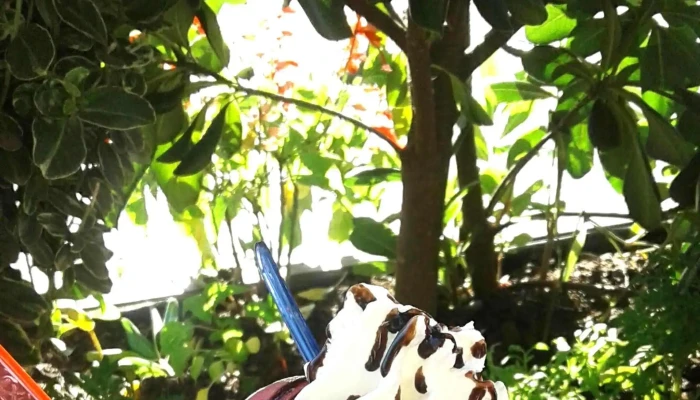 Pecas Prado -  Comentario 3 - Montevideo