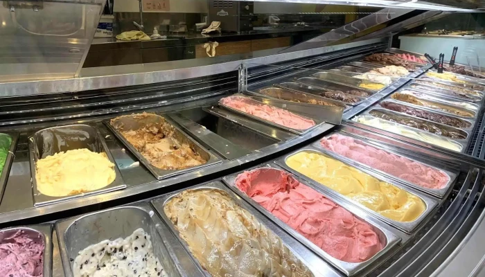 Pecas Punta Del Este -  Ambiente - Punta del Este