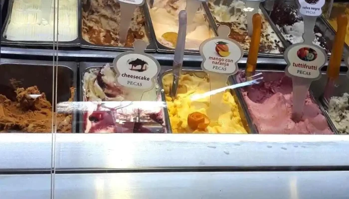 Pecas San Jose Ambiente - San José de Mayo