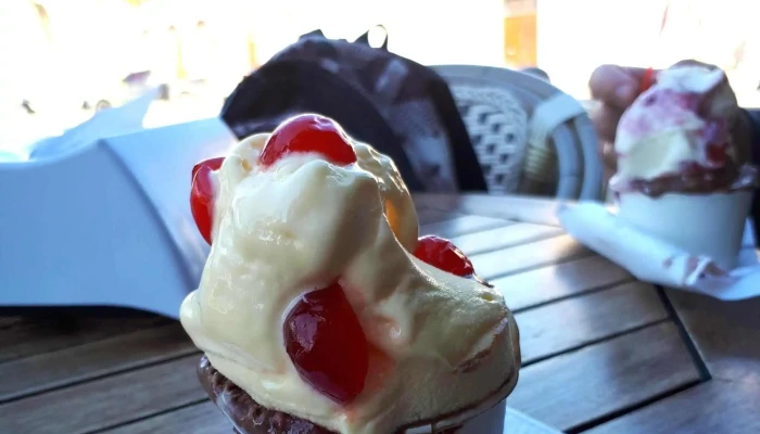 Pecas San Jose Comentario 4 - San José de Mayo