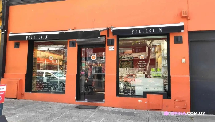 Pellegrin -  Todo - Montevideo