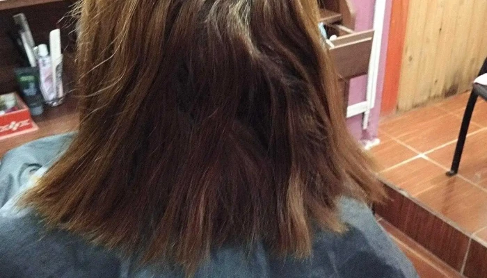 Peluqueria A tu Estilo - Departamento De Montevideo