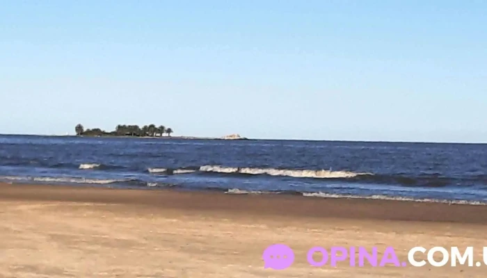 Peluquería Avedis - 11400 Montevideo