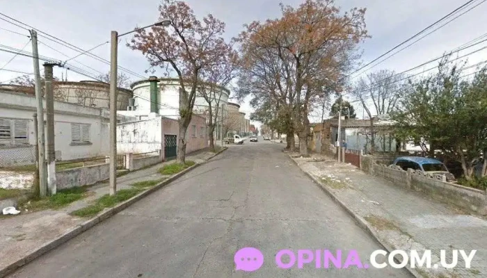 Peluquería canina Cerrito - 40 18 Esq