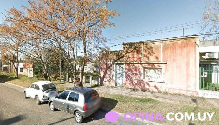 Peluquería Canina - Departamento De Canelones