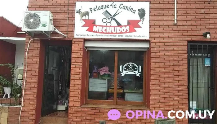 Peluqueria Canina Mechudos - 70600 Tarariras