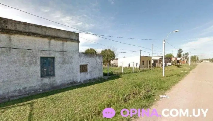 Peluqueria Canina Santa Paula - Jose Enrique Rodo