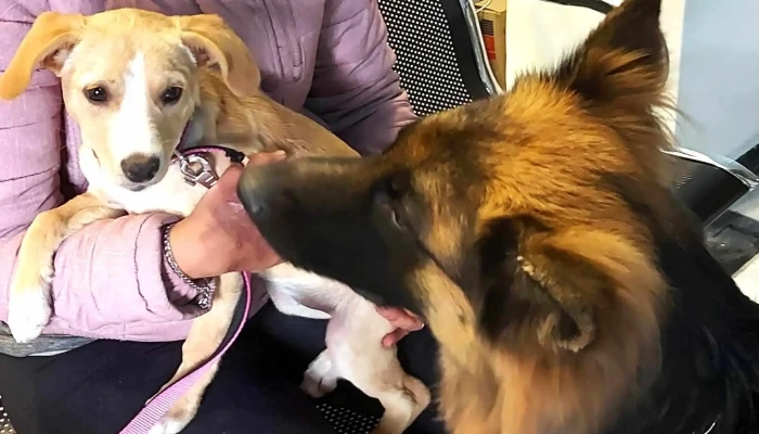 Peluquería Il Barbiere - 11300 Montevideo