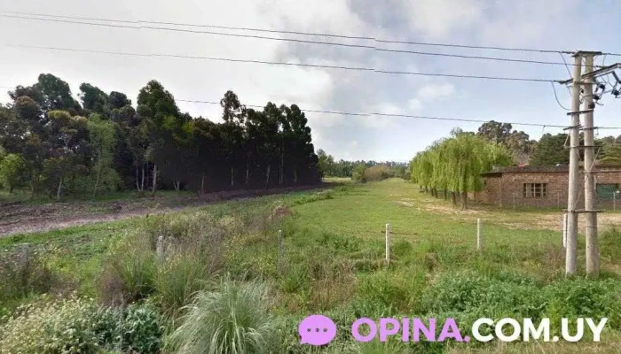 Peluquería La Pesiosia Nueva - 12800 Montevideo