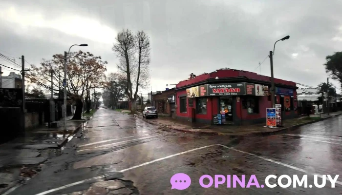 Penarol Fotos - Montevideo