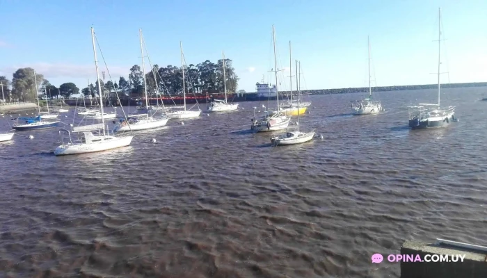 Penarol Juan Lacaze Manya Lacacino Todo - Juan L. Lacaze