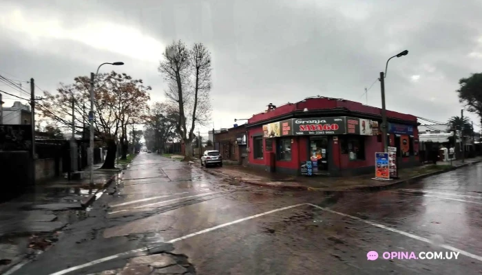 Penarol Todas - Montevideo