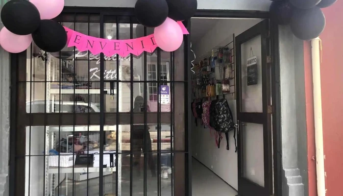 Pequena Kitty Del Propietario - Florida