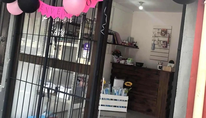 Pequena Kitty Precios - Florida