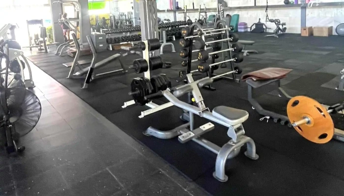 Perfil Gym - Punta Del Este