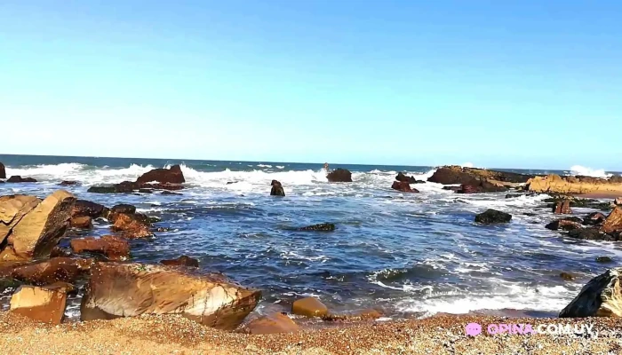 Perla Del Este -  Videos - La Paloma