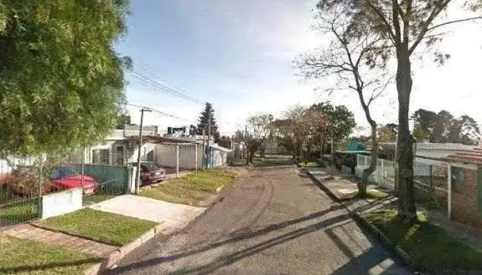 Perro -  Todo - Montevideo