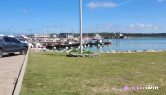 Pescaderia Labbis -  Videos - La Paloma