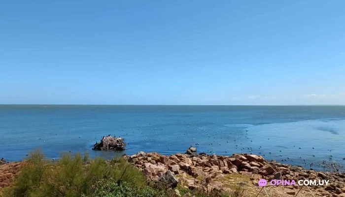 Pescaderia Tupambae Ornella Videos - Piriápolis