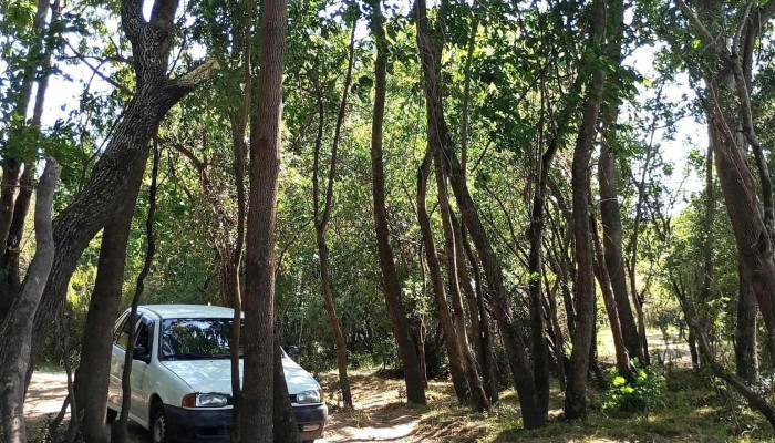 Pesquero costa hermosa - Santa Lucía