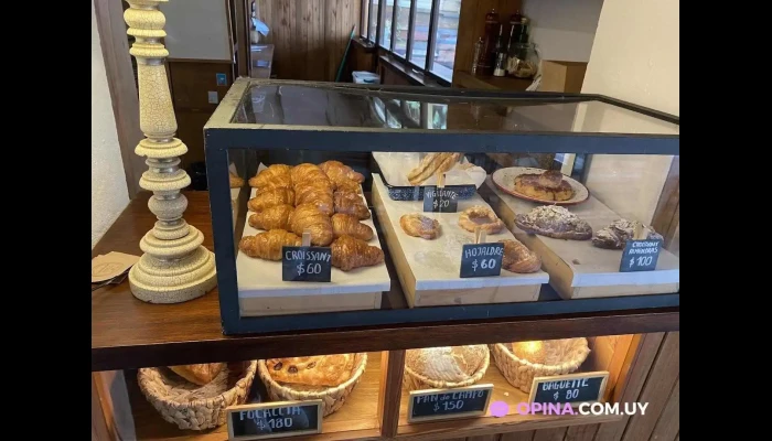 Petisco -  Del Propietario - La Pedrera