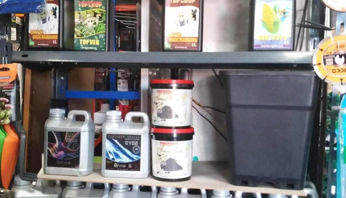 Pf Mobiliario -  Interior - Montevideo