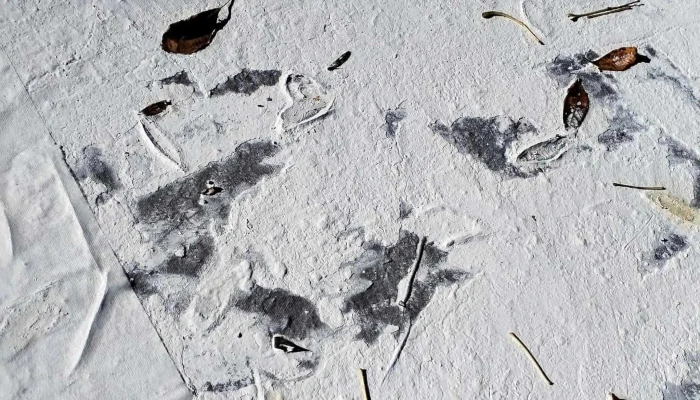 Pf Mobiliario -  Promocion - Montevideo