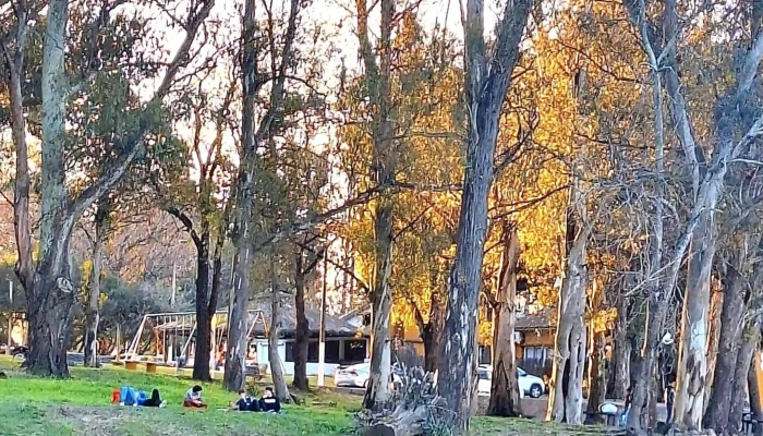 Piedra Alta -  Instagram - Florida