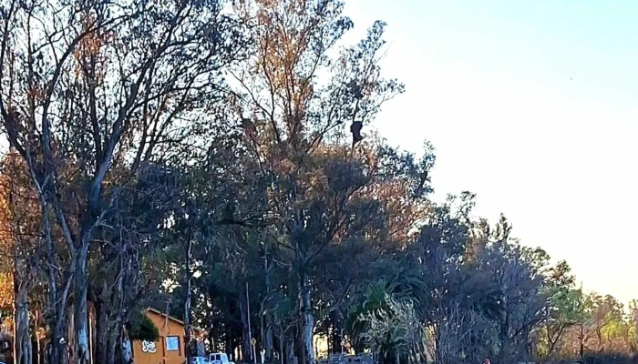 Piedra Alta -  Promocion - Florida